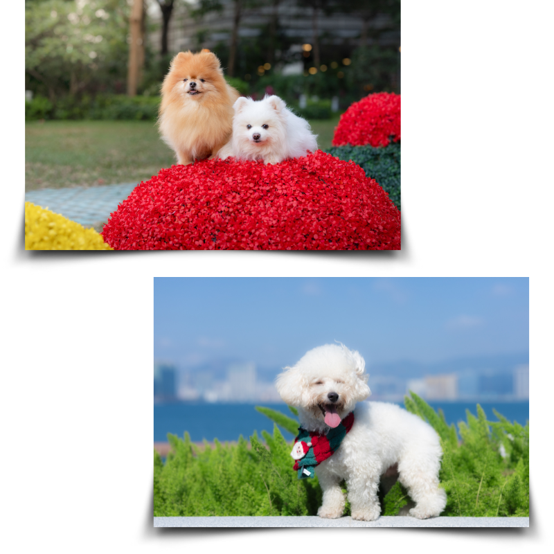 cpLauLandscapephotographyShowcase